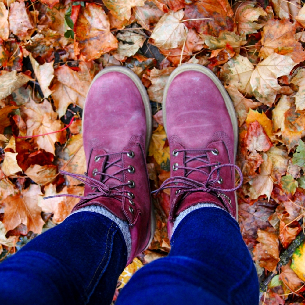 Womens Timberland 6in Boots in Burgundy Suede